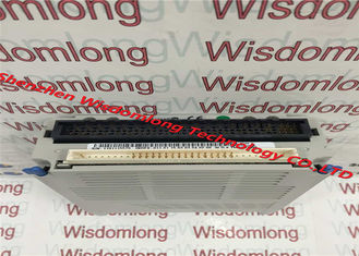 1C31189G01 Redundant Power Supply Module RTD INPUT MODULE