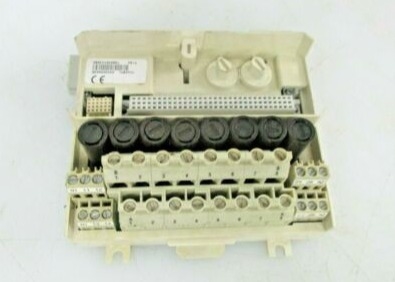 ABB 3BSE013238R1 Unité de terminaison du module Bloc terminal fusionné à 250 V étendu